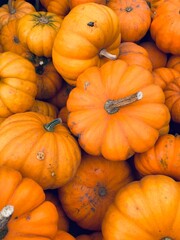 pumpkins for sale at market