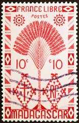 Traveler's tree on old postage stamp of Madagascar