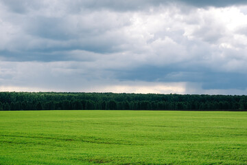 Fototapeta na wymiar landscape of agricultural field on the horizon forest and cloudy sky