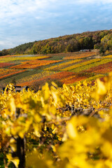 Hiking in the Ahr valley on a sunny autumn day on the red wine trail