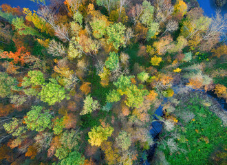 Aerial, vertical shot of a colorful autumn lowland forest. Orange, yellow and green trees. Autumn in  Czech Republic.