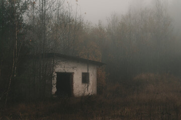 Opuszczony budynek we mgle otoczony lasem