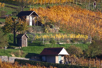 Herbstlandschaften an der Bergstraße.