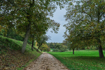 Herbstlandschaften an der Bergstraße.