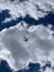 plane in the sky