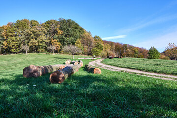 Herbstlandschaften zwischen Bensheim und Heppenheim.