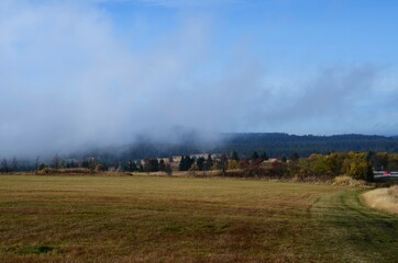 Fog is coming to the valley