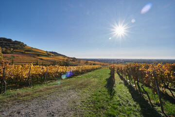 Fototapeta premium Herbstlandschaften zwischen Bensheim und Heppenheim.