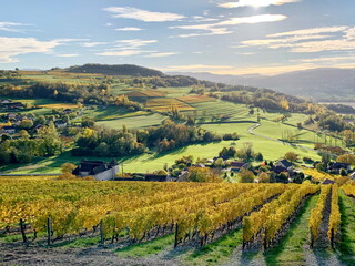 france,pays,savoie,jongieux,vignobles,vin production,yenne,lac du bourget,Avant-Pays savoyard,  Billième, Jongieux, Lucey, St-Jean-de-Chevelu
