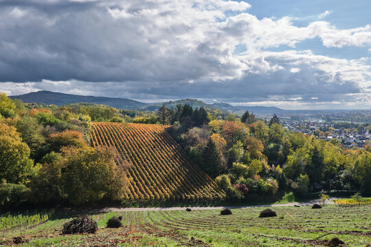 Herbstlandschaften zwischen Bensheim und Heppenheim.
