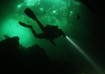 Obraz premium Rebreather silhouette 