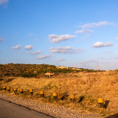 landscape with camel in Oman