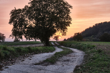 Herbstlandschaften zwischen Bensheim und Heppenheim.