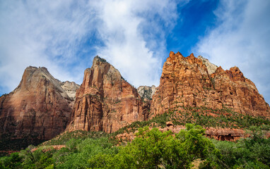 Fototapeta premium Zion National Park