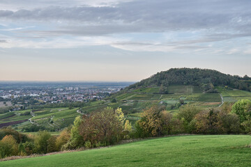 Fototapeta na wymiar Herbstlandschaften zwischen Bensheim und Heppenheim.