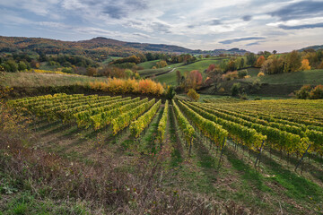Herbstlandschaften zwischen Bensheim und Heppenheim.
