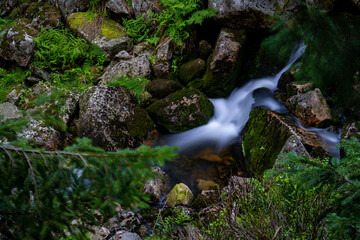 A small stream with a long exposure time.
