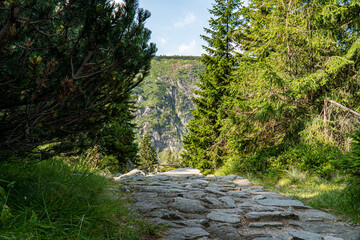 A rocky mountain trail in the mountains surrounded by a green forest.