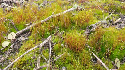 Фото с телефона