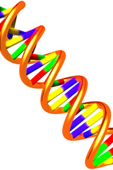 DNA Double Helix 3D Illustration isolated on white background