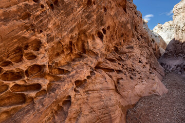 Little Wilde Horse Canyon, Utah