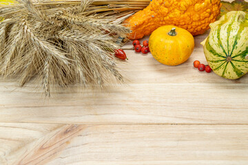Thanksgiving dinner. Autumn Natural harvest with rye spike orange pumpkin, fall dried leaves, red...
