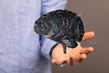 human brain imagination learning and mind
