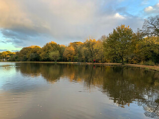 Fototapeta na wymiar Epping Forest Connaught water Autumn landscape view with reflection