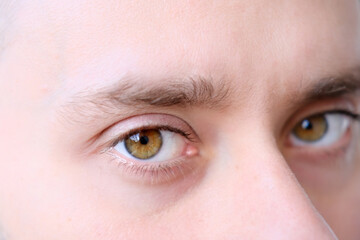 brown eyes of a young man close up, human vision concept, optic nerve health, nervous tic, myopia, hyperopia, vision test
