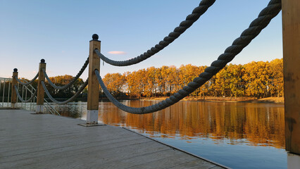 city bridge Nature