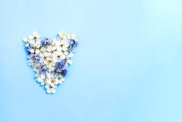 Heart shape made of the cherry tree white flowers