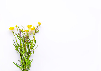 Wildflowers bouquet on white background. Flat lay, top view. Ranunculus acris plants.