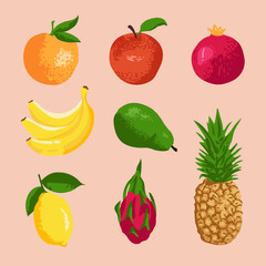 Vector set of fruits: apple, avocado, pear, dragon fruit, lemon, orange, pineapple, pomegranate, banana.