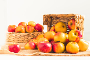 Fresh yellow and red apples in the wicker basket on the white background. Autumn harvesting