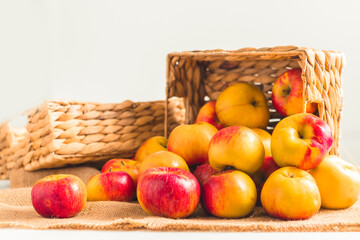 Fresh yellow and red apples in the wicker basket on the white background. Autumn harvesting