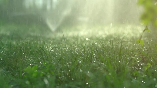 Sprinkler head watering green grass lawn. Gardening concept. Smart garden activated with full automatic sprinkler irrigation system working in a green park. Slow motion 4K UHD video