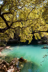 Green color pond in the forest in Turkey