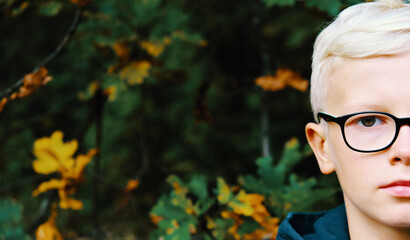 Portrait of the boy in autumn glasses on a background of leaves.