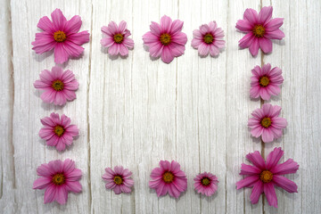 Frame of Pink flowers and blank, white, wooden, retro style Background.