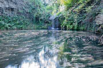 Estanque natural en el bosque