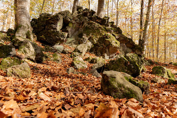 Gran roca en un bosque otoñal
