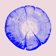 Wood tree art texture stamp for card or background. Detailed tree ring design. Rough organic tree rings with close up of end grain.
