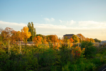 fall leaf tree landscape and in Schoneberg Berlin Germany