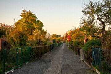 Fototapeta na wymiar Pedestrian bike path in small garden in Schoneberg Berlin Germany
