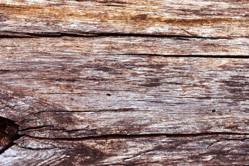 Wood texture. Old brown wood.