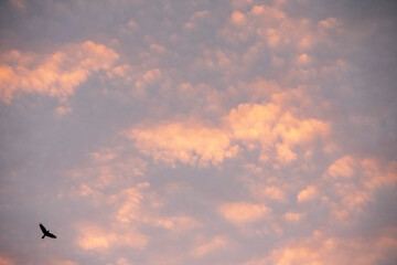 Altocumulus sky cloudscape in Schoneberg Berlin Germany