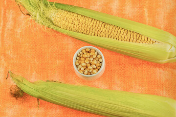 pair of ears of green corn with yellow grains in a bowl stands on an orange background