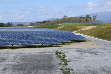 大量の太陽電池パネル