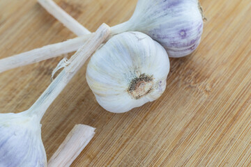 large three heads of white garlic ripe aromatic vegetable to flavor food