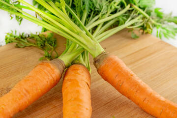 three long orange carrots with green tops close-up on a wooden background